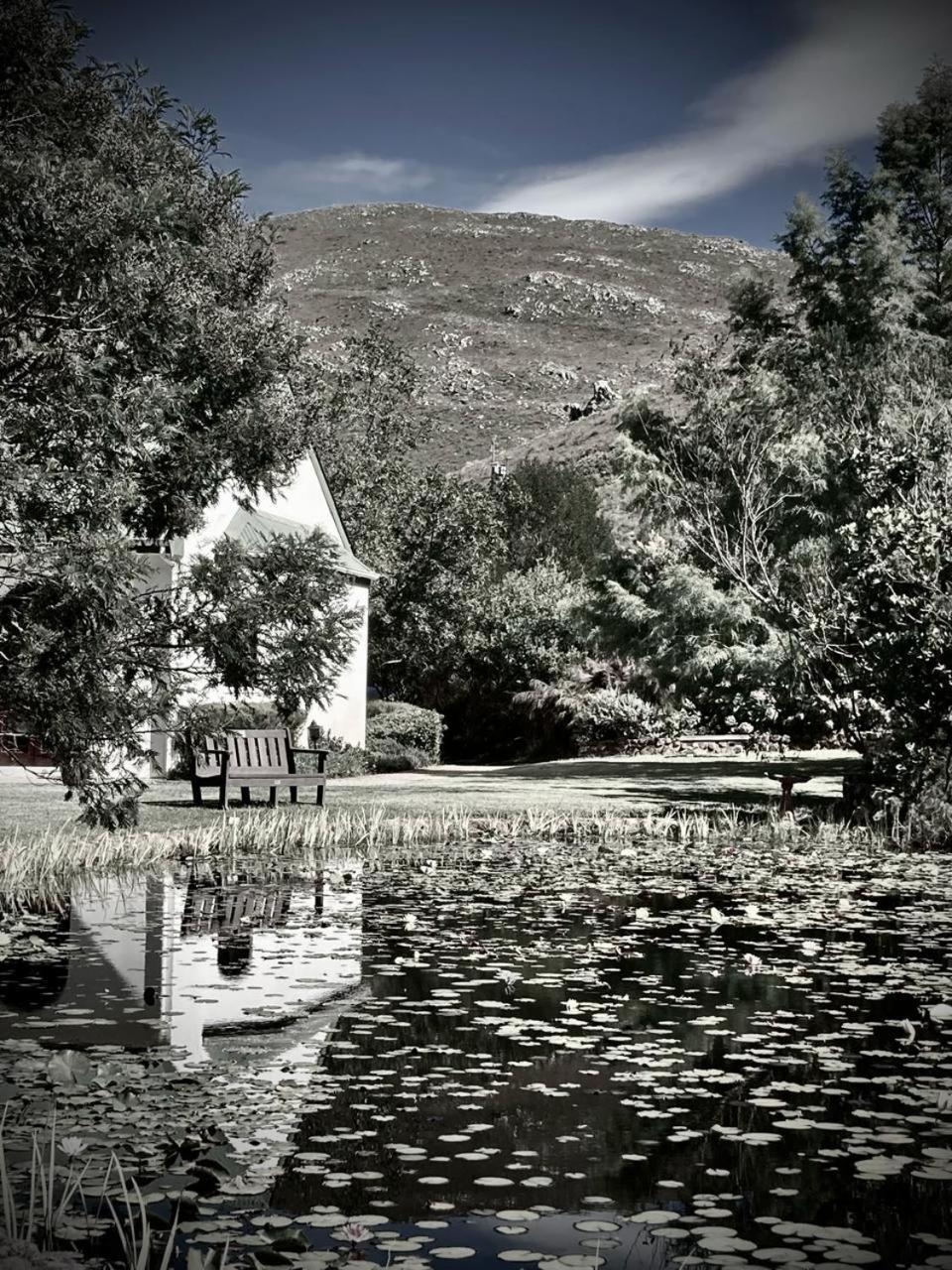 The Volmoed Trust Villa Hermanus Luaran gambar